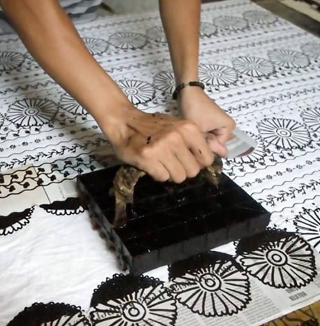 Hand Block Printed Cotton Saree | Aarav Collections